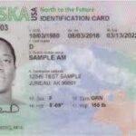 Order Real Alaska Driver License and ID Cards