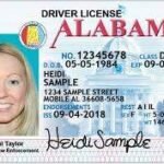 Alabama Driver License and ID Cards for sale
