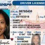 Order for Colorado Driver License and ID Cards