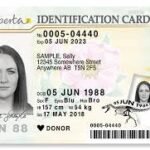 Buy Alberta Driving Licenses and ID Cards