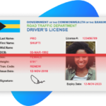 Bahamas Fake Driver’s License for Sale