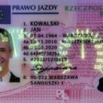 Buy Fake Polish Drivers License 