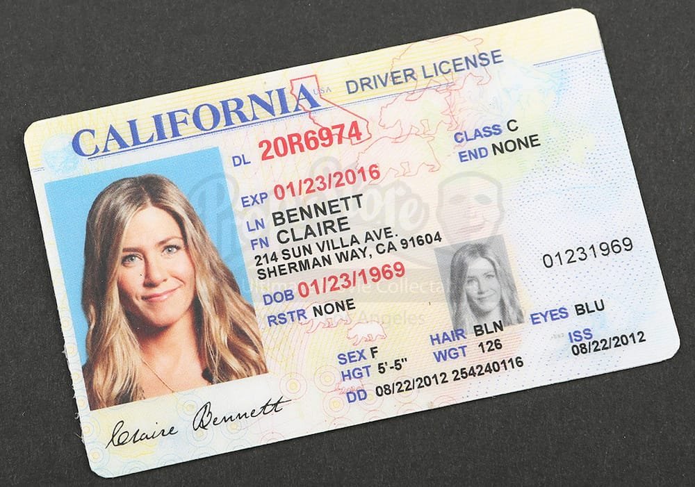 Buy fake Drivers license online USA