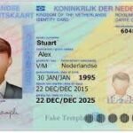 Buy fake Dutch ID card online