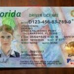 Buy Florida Fake Drivers License