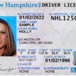 Buy Hampshire Driver License and ID Cards