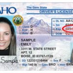 Buy Idaho Driver License and ID Cards