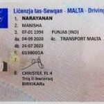 Buy Fake Driver’s License of Malta