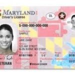 Buy Maryland Driver License and ID Cards