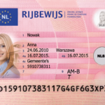 Netherlands Fake Driver’s License for Sale
