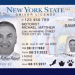 Buy New York Drivers License