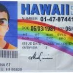 Buy Hawaii Driver License and ID Cards