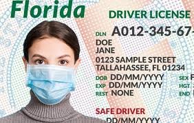 Florida Driving License