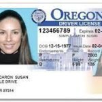 Real and fake Oregon driver’s licenses for Sale