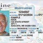 Buy Maine Driver License and ID Cards