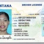 Buy Montana Driver License and ID Cards