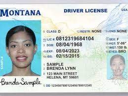 Buy Montana Driver License and ID Cards