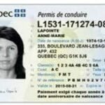 Buy Quebec Driver License and ID Card