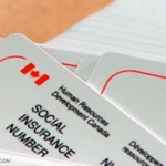 buy canadian social insurance card or SIN